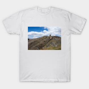 Looking towards a solitary green tree on a cliff T-Shirt